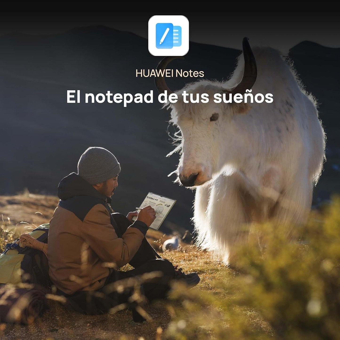 Tablet HUAWEI MatePad Pro 13" - 2025 , 12 GB + 256 GB, Pantalla OLED