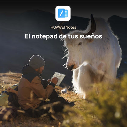 Tablet HUAWEI MatePad Pro 13" - 2025 , 12 GB + 256 GB, Pantalla OLED